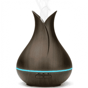 Brumisateur d'air